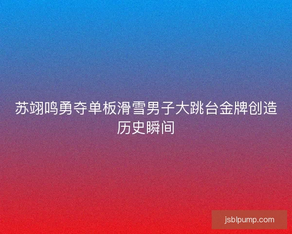 苏翊鸣勇夺单板滑雪男子大跳台金牌创造历史瞬间